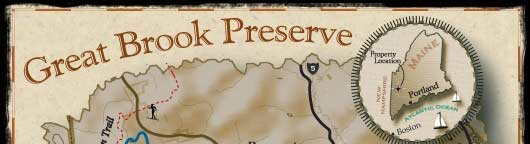great brook preserve: land in maine